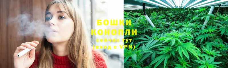 МАРИХУАНА THC 21%  Бородино 